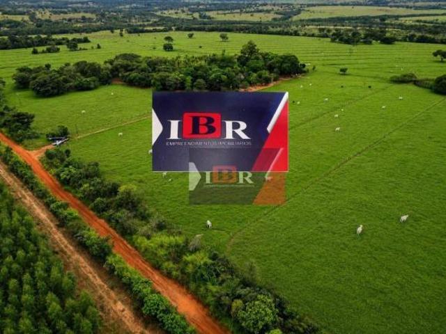 Fazenda em Jaraguari MS