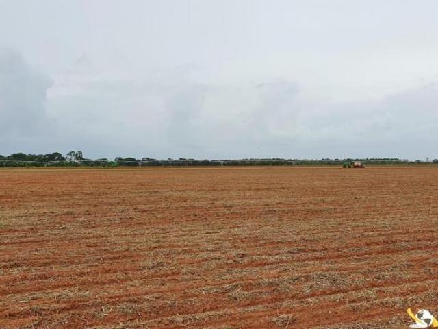 FAZENDA EM JOÃO PINHEIRO 667 HEC PARA LEITE E PURA PRODUTIVIDADE