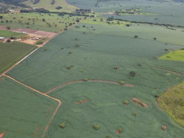 FAZENDA EM LAVOURA BRANCA NA ZONA RURAL DE COROMANDEL/MG