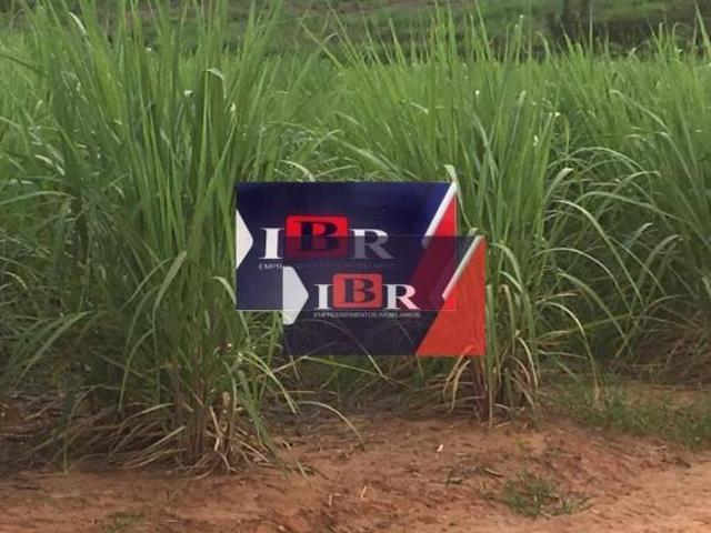 Fazenda em Lins SP