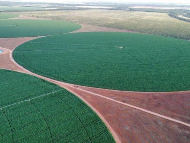 Fazenda em Paracatu com 800 ha área total em Venda