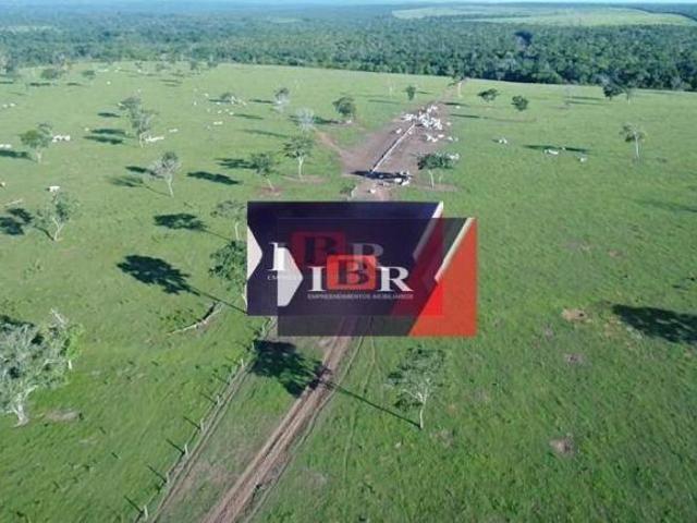 Fazenda em Paranatinga MT