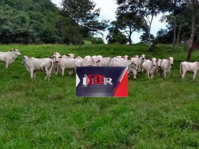 Fazenda em Pedra Preta MT