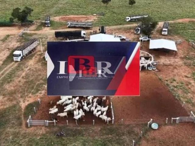 Fazenda em Pedro Gomes MS
