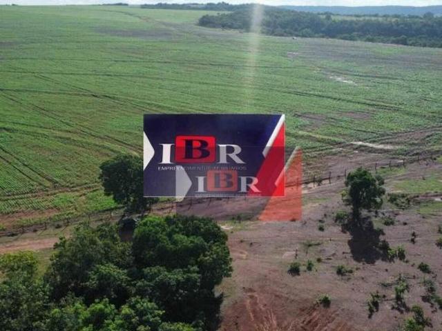 Fazenda em Pedro Gomes MS
