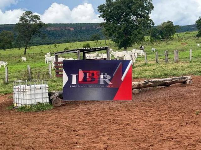 Fazenda em Pedro Gomes MS