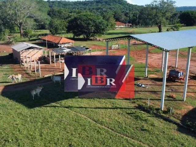 Fazenda em Pedro Gomes MS