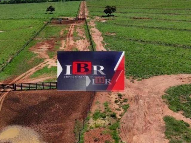 Fazenda em Pedro Gomes Ms