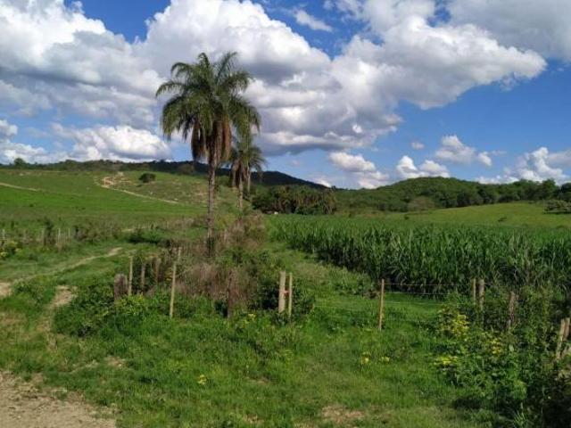 Fazenda em Pequi