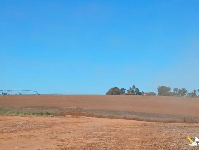 FAZENDA EM PERDIZES/MG – 140 HA COM PIVÔ CENTRAL E ESTRUTURA COMPLETA