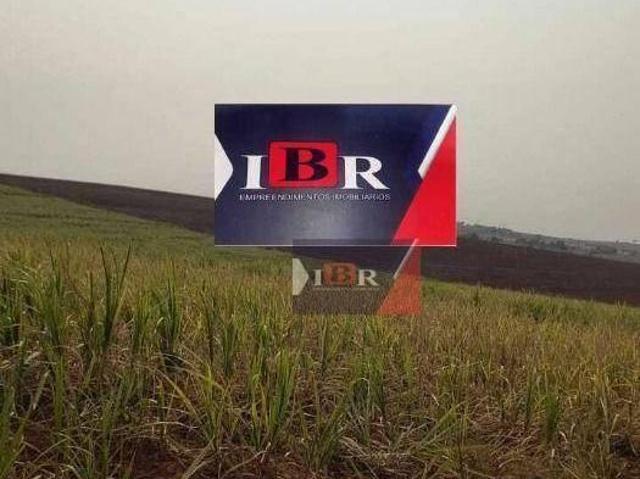 Fazenda em Pereira Barreto SP