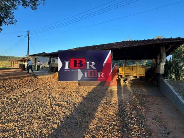Fazenda em Pirajuí SP