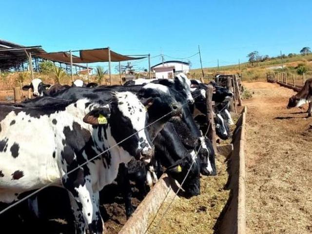 Fazenda em Pompeu 148 HA