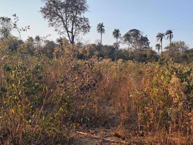 Fazenda em Pompeu MG 520 hectares reservas ou plantio de eucalipto