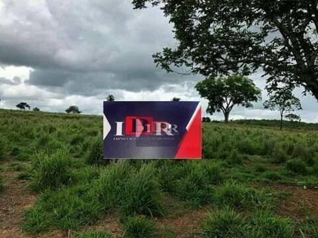 Fazenda em Pontal do Araguaia – MT