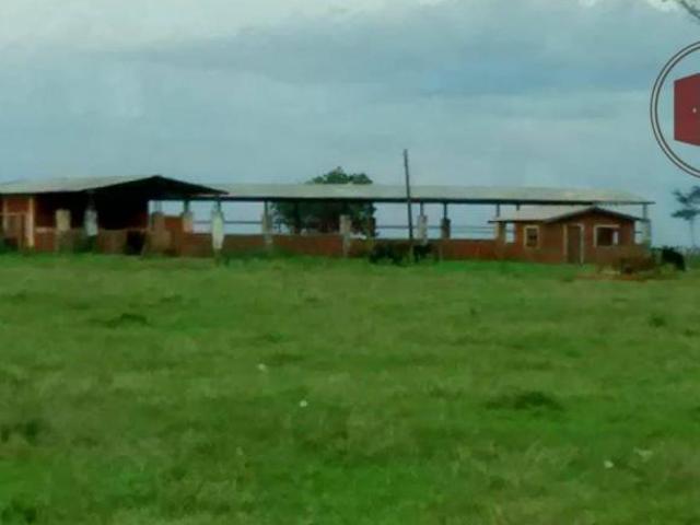 Fazenda em Presidente Epitácio e Região