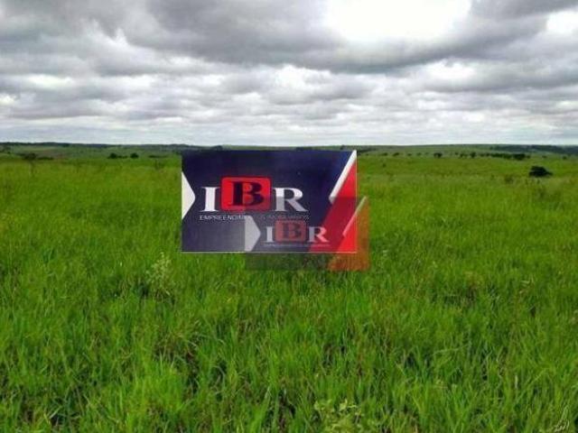 Fazenda em Presidente Prudente Sp
