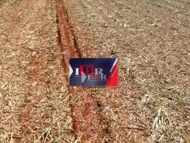Fazenda em Presidente Prudente SP