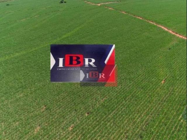 Fazenda em Presidente Venceslau SP