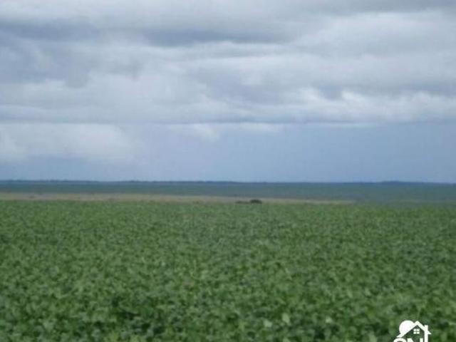 Fazenda em Primavera do Leste MT