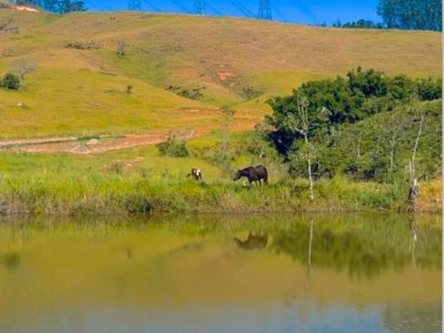 Fazenda em Queluz