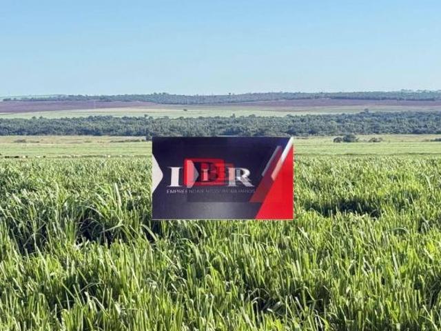 Fazenda em RIbeirão dos Indios SP