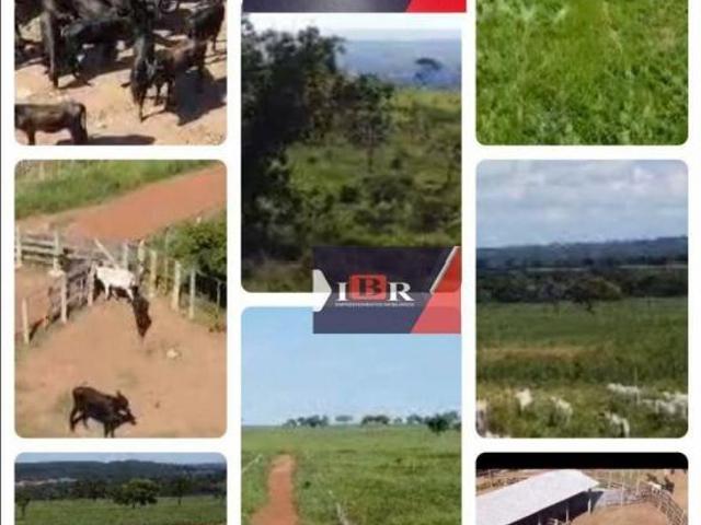 Fazenda em Rio Negro MS