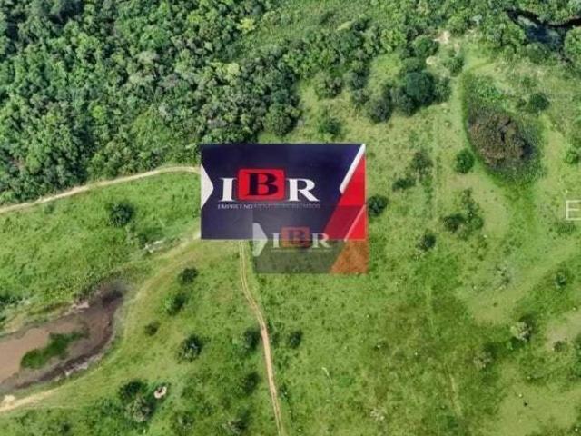 Fazenda em Rochedo MS