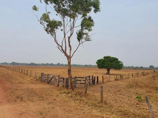 Fazenda em São Félix do Araguaia MT