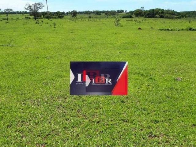 Fazenda em São Gabriel do Oeste MS