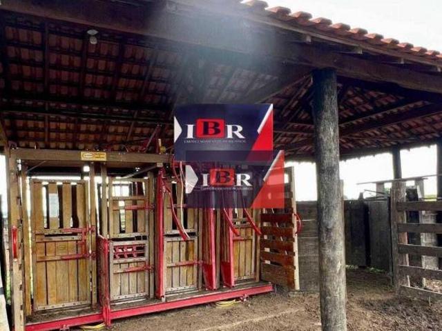Fazenda em São Gabriel do Oeste MS