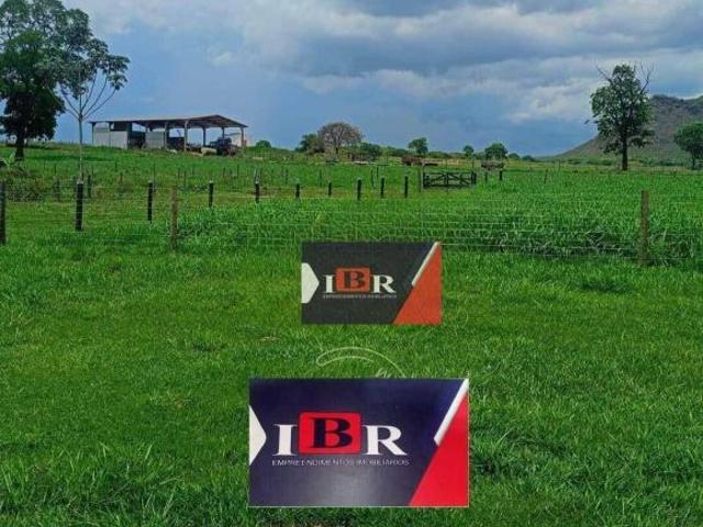 Fazenda em São Gabriel Do Oeste MS
