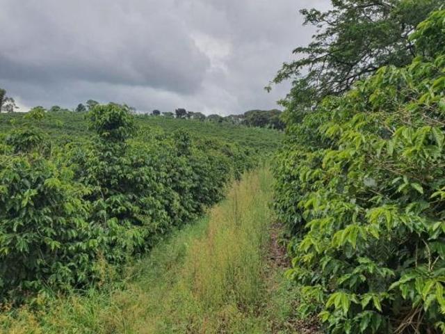 Fazenda em, São Gonçalo do Sapucaí/MG de 200m² à venda por R$ 21.000.000,00
