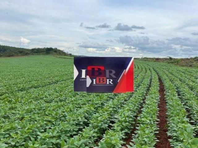Fazenda em São Gotardo MG