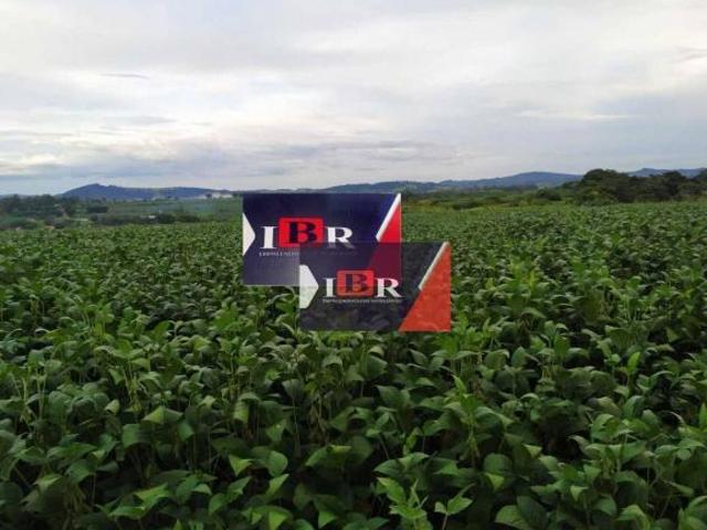 Fazenda em São José do Rio Pardo SP