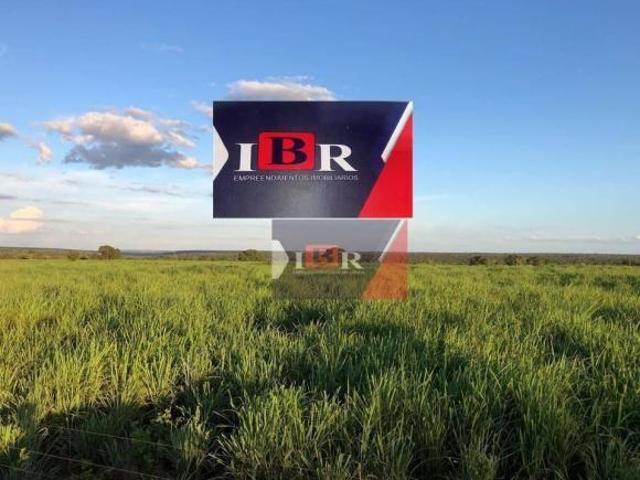Fazenda em Santa Fé de Minas MG