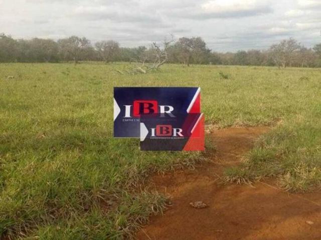 Fazenda em Taboco MS