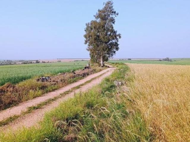 Fazenda em Tiête SP 50 alqueires