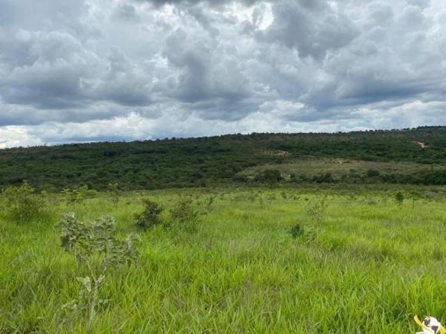 FAZENDA EM TRÊS MARIAS 904HEC POSSIBILIDADE DE PERMUTA