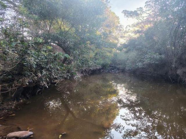 Fazenda em Várzea da Palma MG 420 hectares