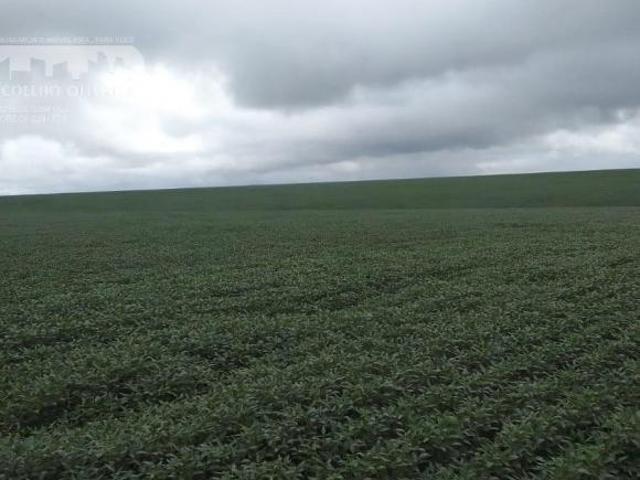 Fazenda em Zona Rural Sorriso