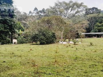 Fazenda em Zona Rural Pariquera Açu