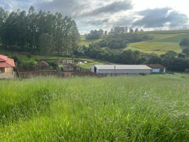 FAZENDA ESPETACULAR A VENDA EM MINAS GERAIS DE 242 HECTARES ESPECIAL PARA GADO