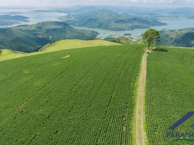 Fazenda Espetacular às Margens de Furnas! Única Chance