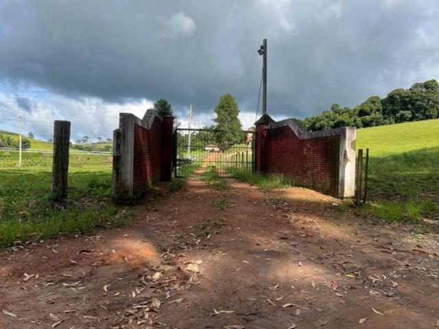 Fazenda Espetacular com 242 Hectares em Santa Rita de Caldas – Vocação para Pecuári