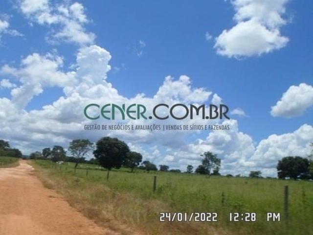 Fazenda Espetacular de 1.830 ha para pecuária e agricultura Irrigada