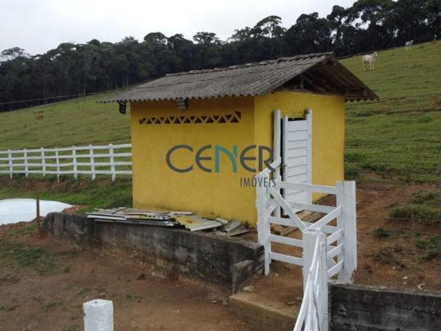 Fazenda espetacular de 53 ha em Barbacena MG