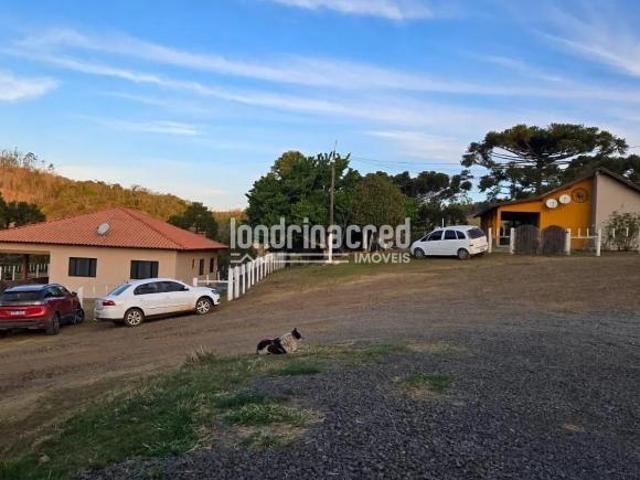 Fazenda espetacular em São Jerônimo/Sapopema com 140,5 alqueires, sede de alto padrão, pecuária, euc