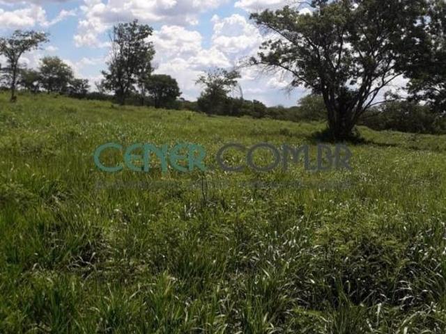 Fazenda especial de 3.533 ha na Região de Buenópolis MG