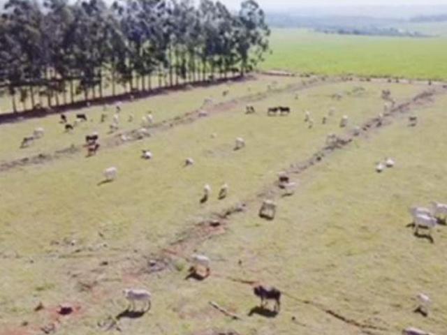 FAZENDA ESTRUTURADA EM PARANACITY PR!